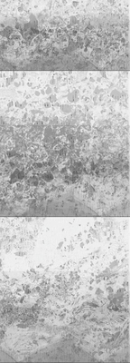 20130628 Alex Fischer Similar Image Object B.png